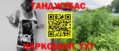 сатива Краснодар