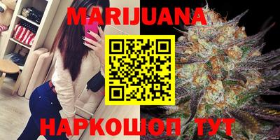 сатива Краснодар