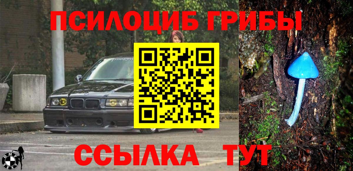 Псилоцибиновые грибы мухоморы  Вход с VPN  Кохма  наркота  Галлюциногенные грибы GOLDEN TEACHER 